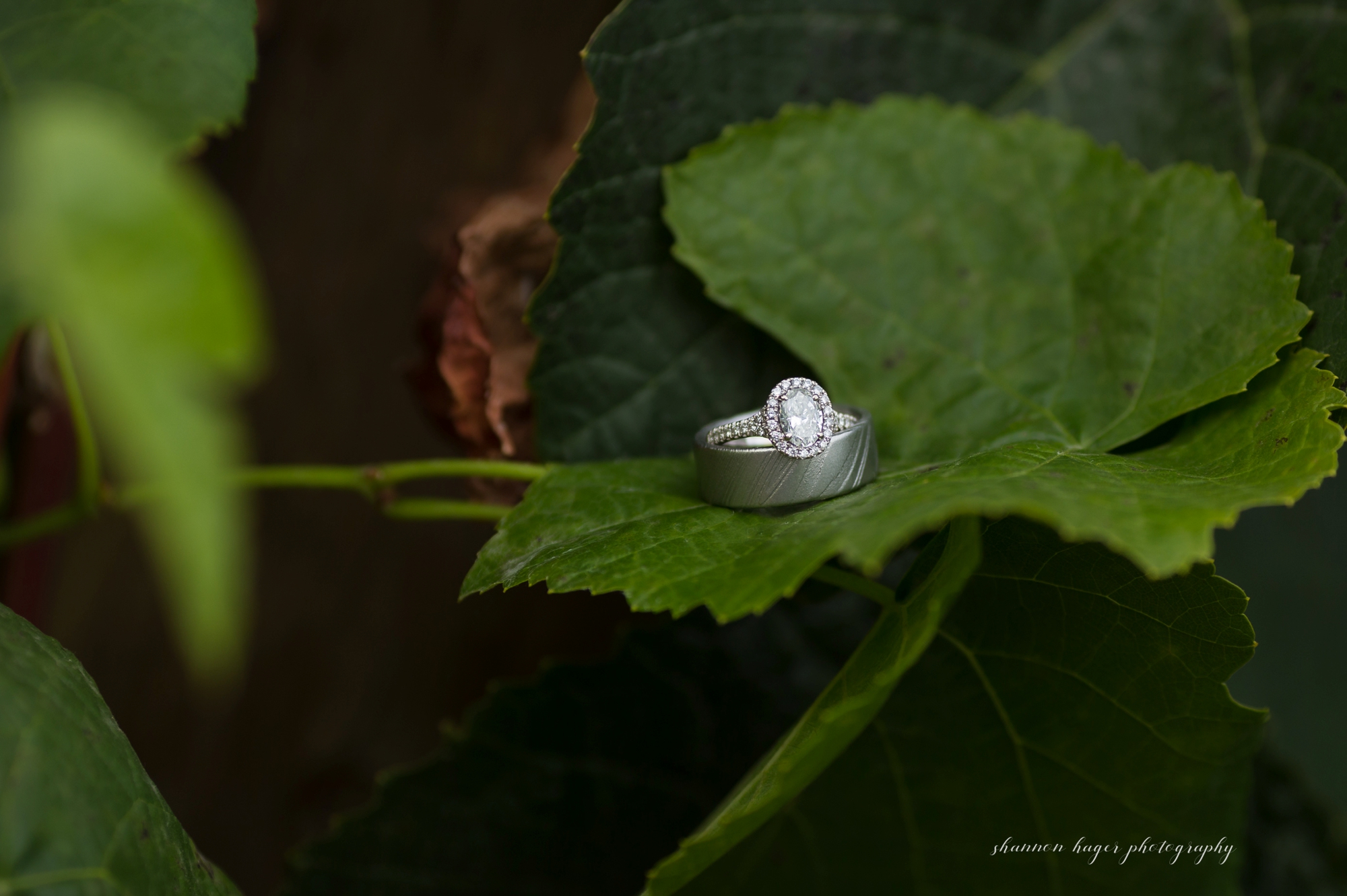 aurora colony vineyards fall wedding, willamette valley winery wedding, portland wedding photographer, shannon hager photography