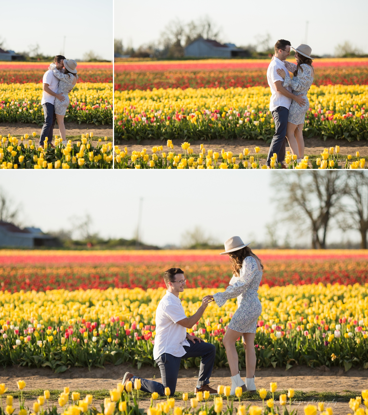tulip wedding proposal, oregon engagement photographer