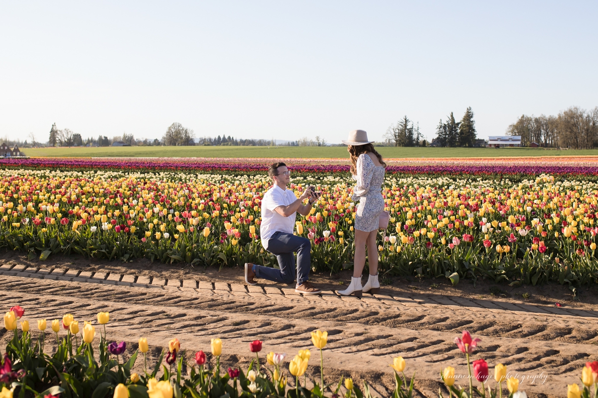 wooden shoe tulip wedding proposal photographed by shannon hager photography
