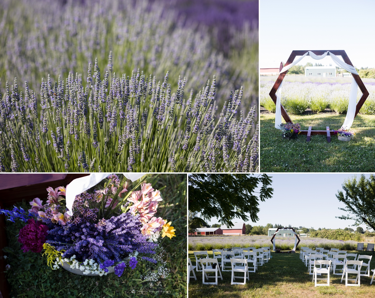 oregon lavender farm wedding photographer