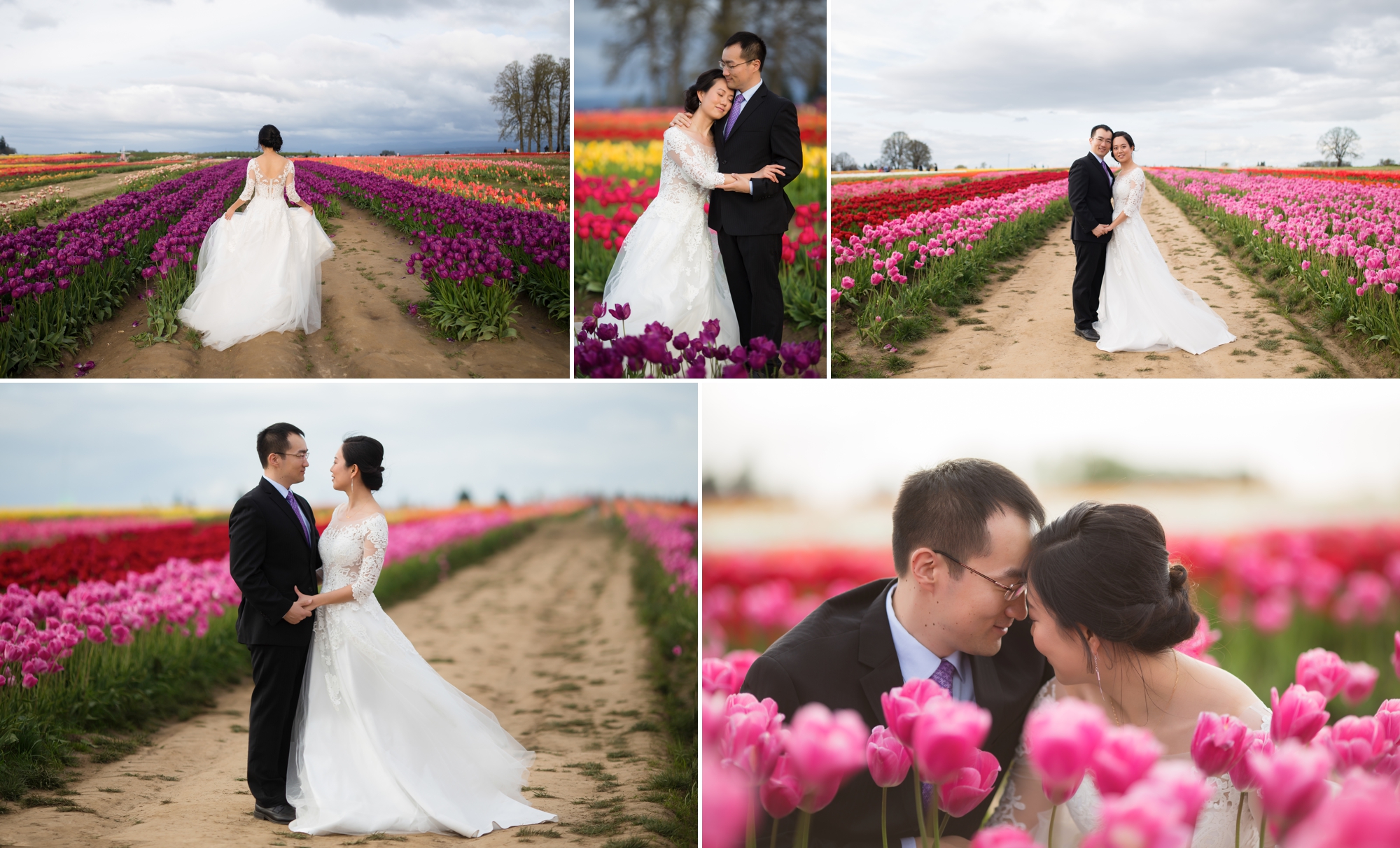 tulip field photo session, portland family photographer, oregon spring mini session, wooden shoe tulip festival
