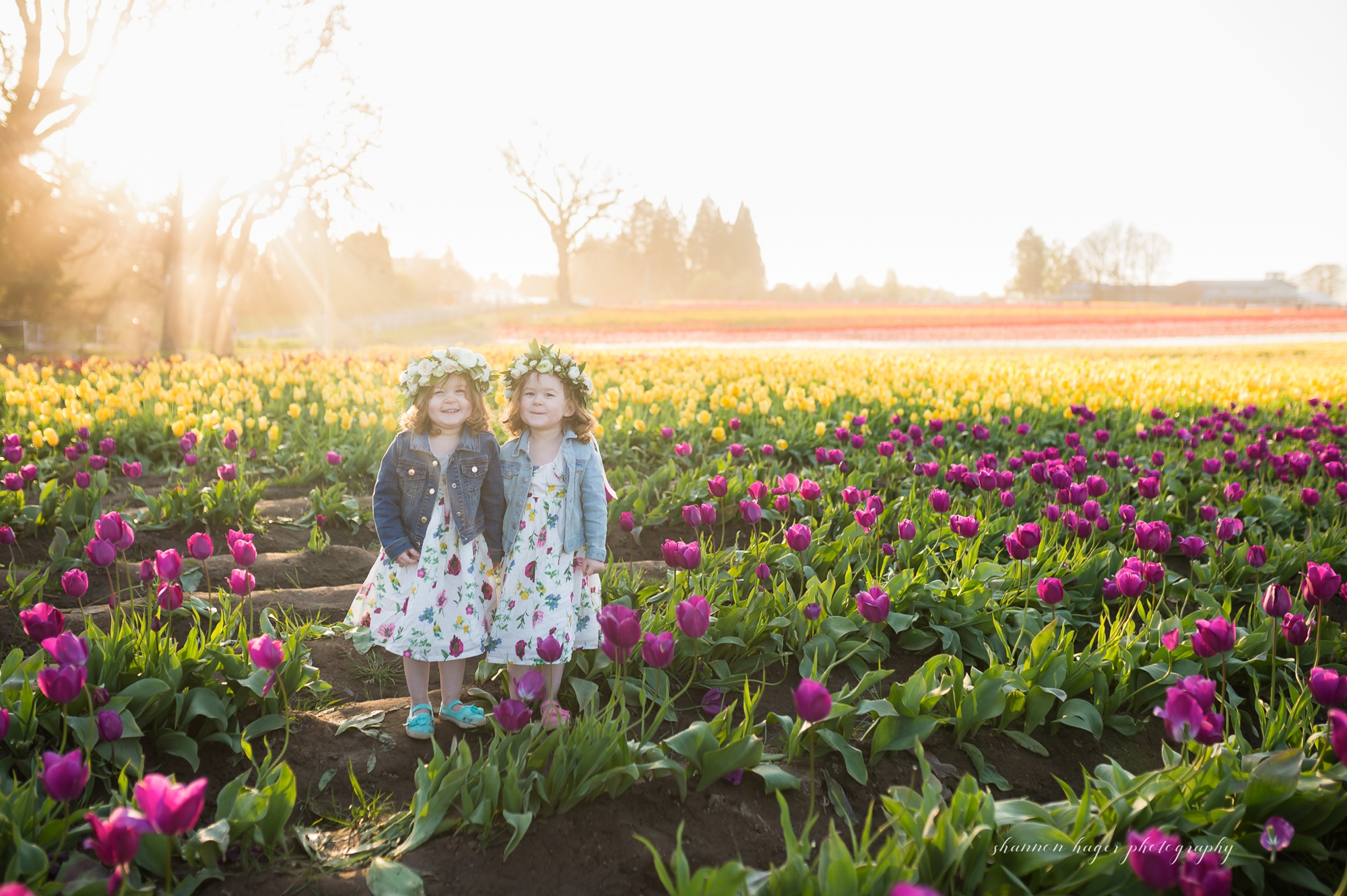 portland family photographer, tulip field mini session photos, family photos in tulip fields