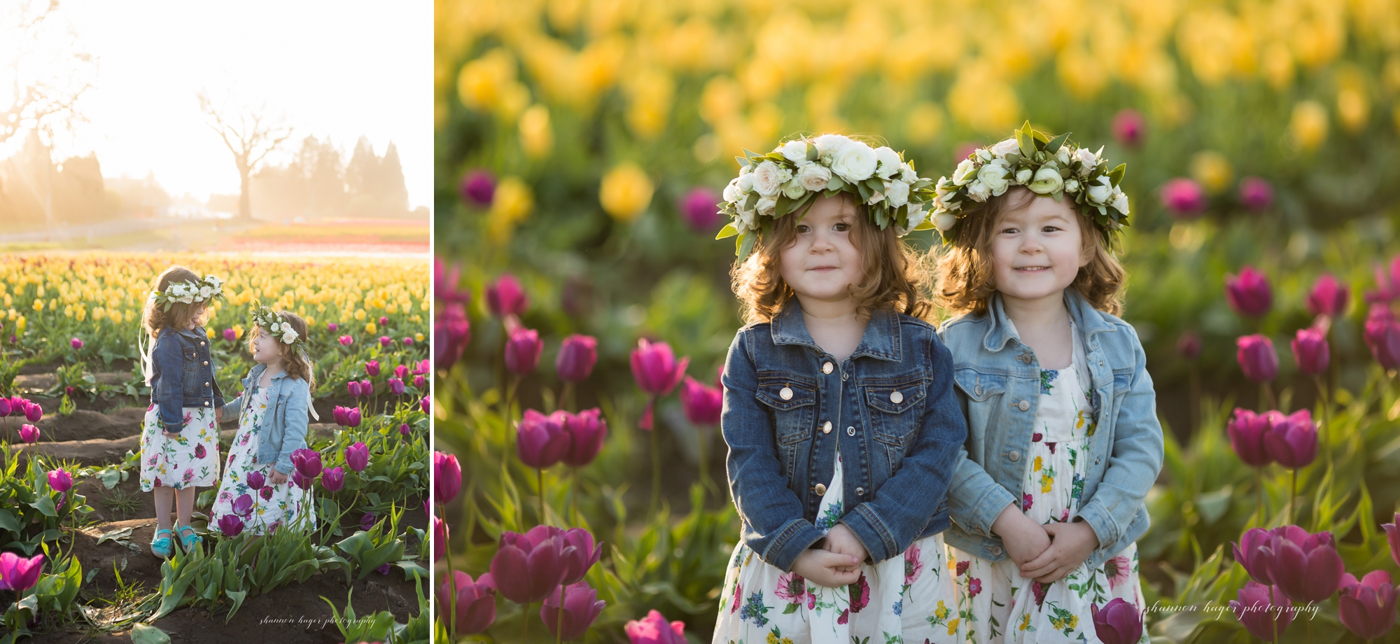 portland family photographer, tulip field mini session photos, family photos in tulip fields