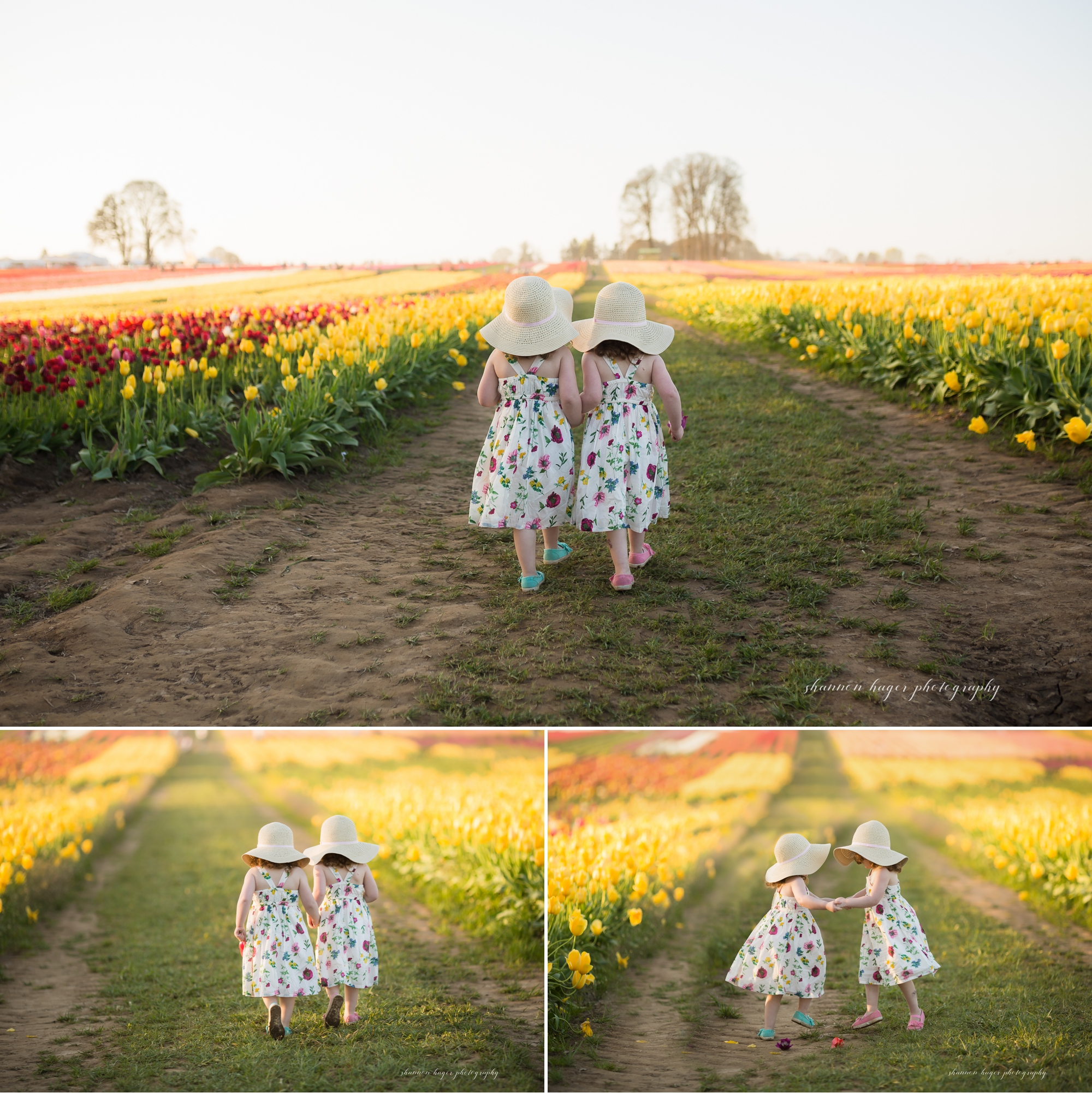 portland family photographer, tulip field mini session photos, family photos in tulip fields