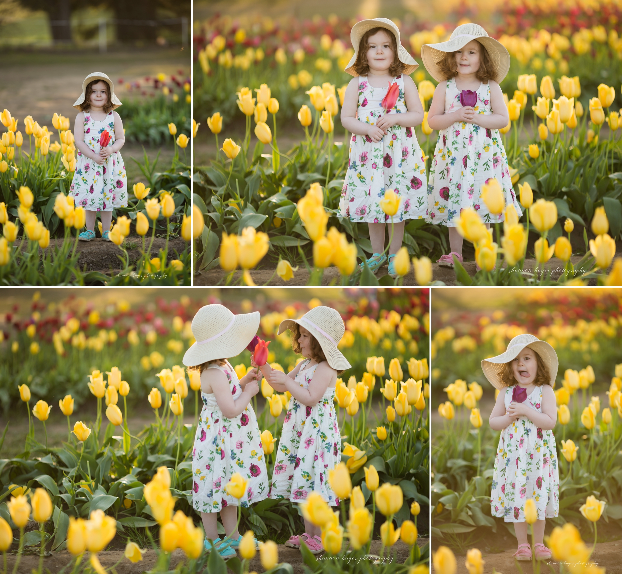 portland family photographer, tulip field mini session photos, family photos in tulip fields