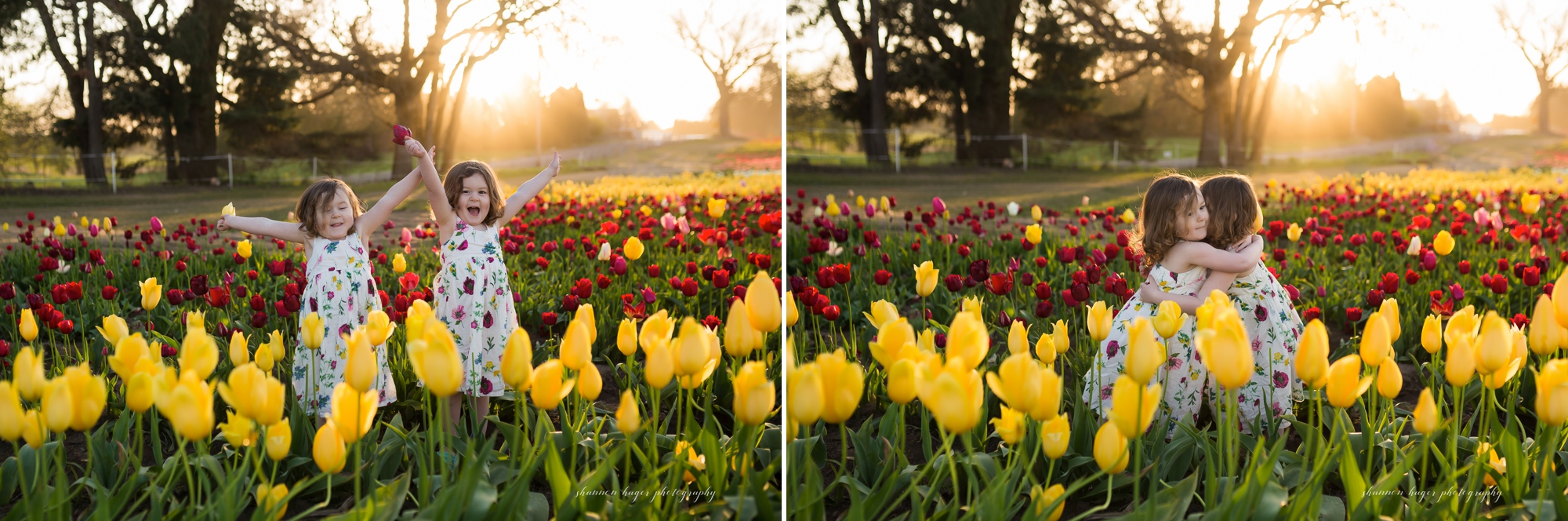 wooden shoe tulip farm family session, portland mini sessions, spring family photos in tulip field