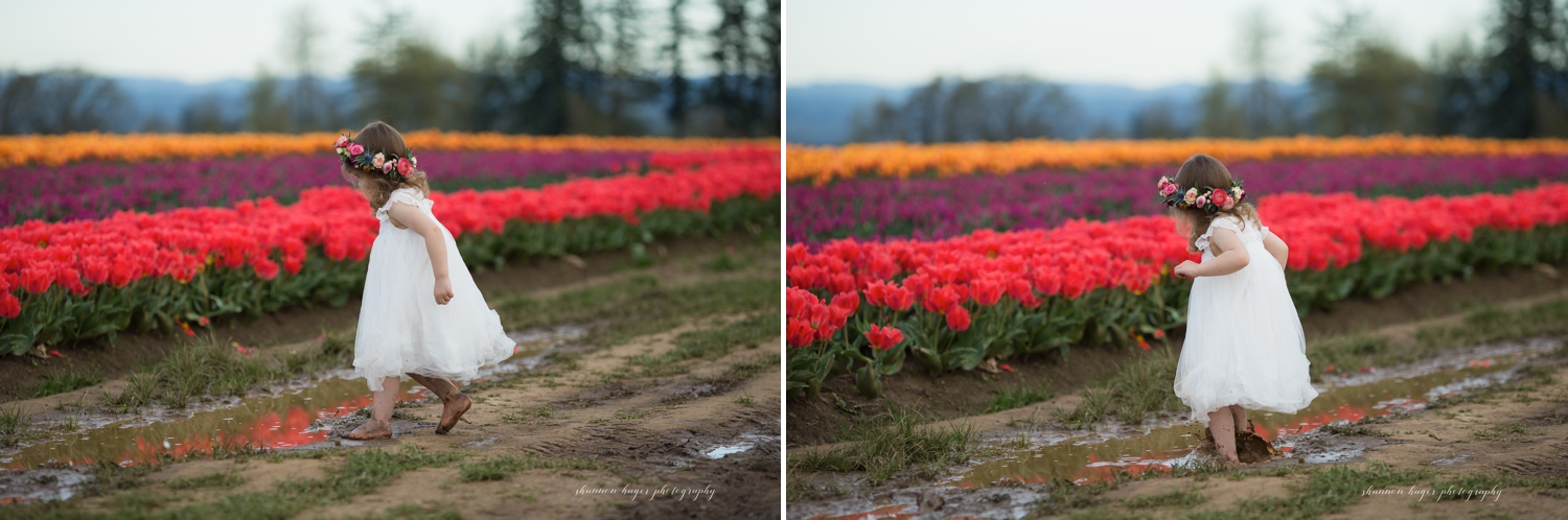 wooden shoe tulip farm photos, spring tulip field mini sessions, portland family photographer, girl in tulip field oregon