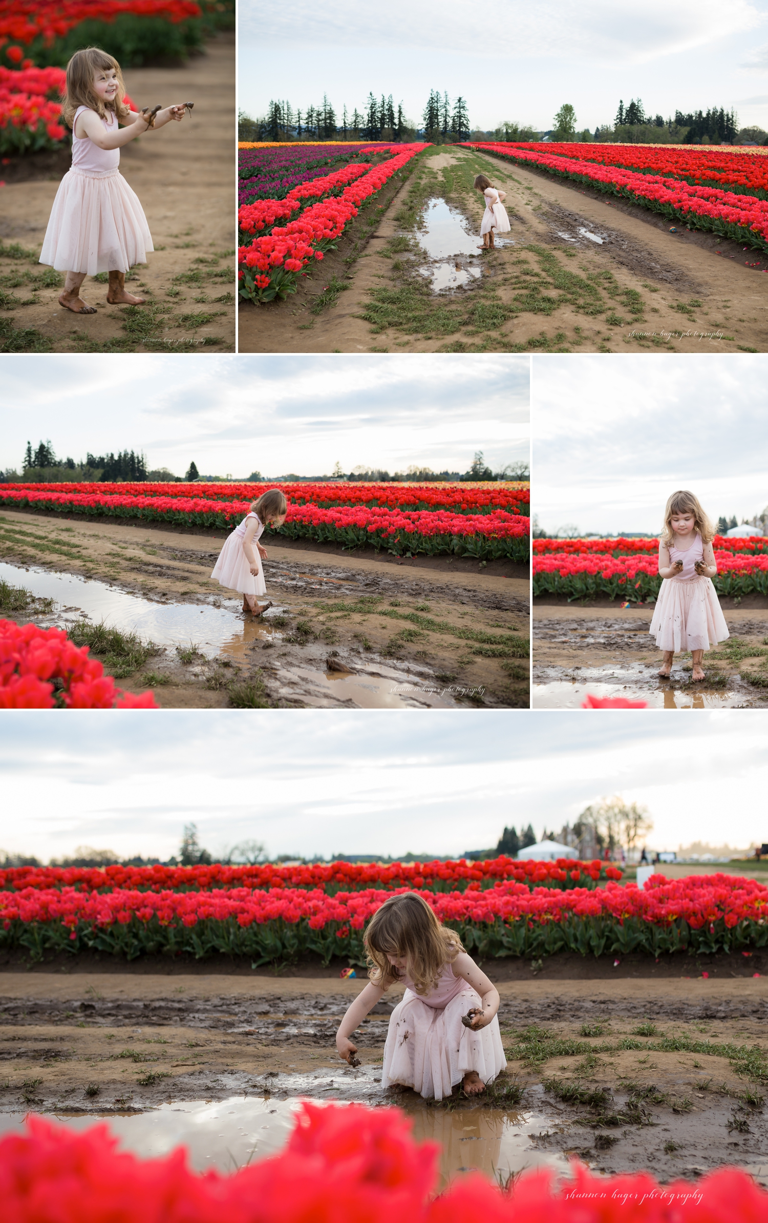 wooden shoe tulip farm photos, spring tulip field mini sessions, portland family photographer, girl in tulip field oregon