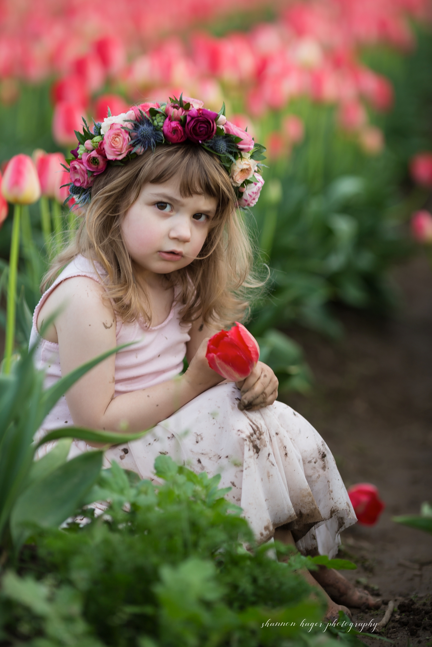 spring tulip field mini session, wooden shoe tulip farm photos, portland family photographer, little girl in the tulip fields