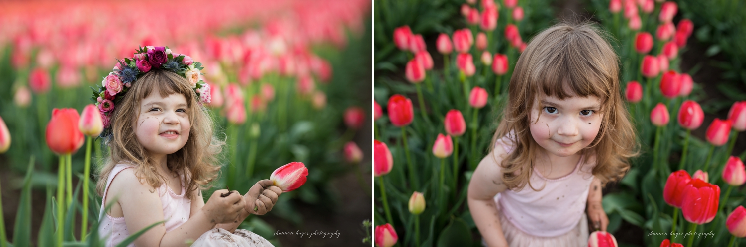spring tulip field mini session, wooden shoe tulip farm photos, portland family photographer, little girl in the tulip fields