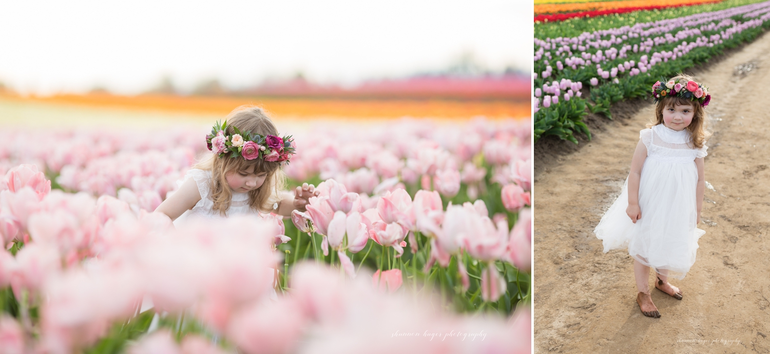 spring tulip field mini session, wooden shoe tulip farm photos, portland family photographer, little girl in the tulip fields