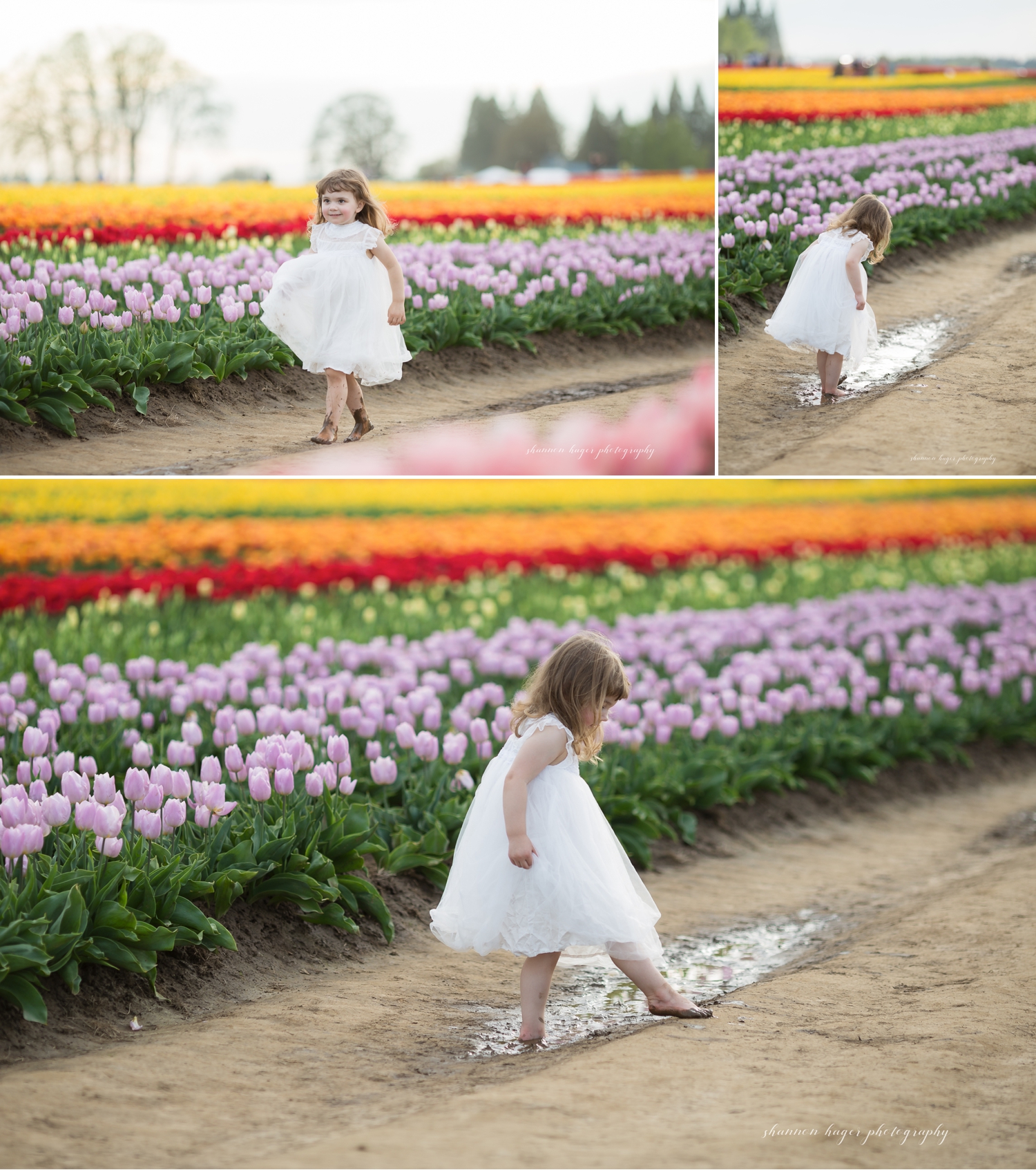 wooden shoe tulip farm photos, spring tulip field mini sessions, portland family photographer, girl in tulip field oregon