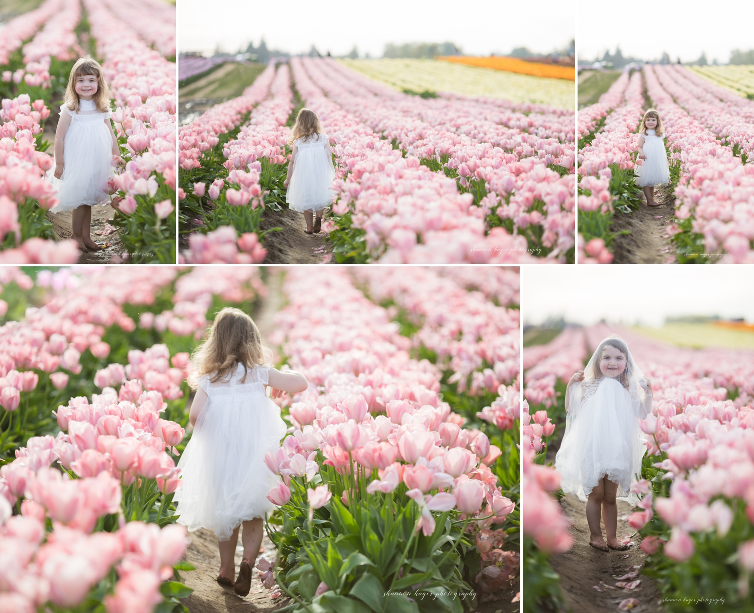 wooden shoe tulip farm photos, spring tulip field mini sessions, portland family photographer, girl in tulip field oregon