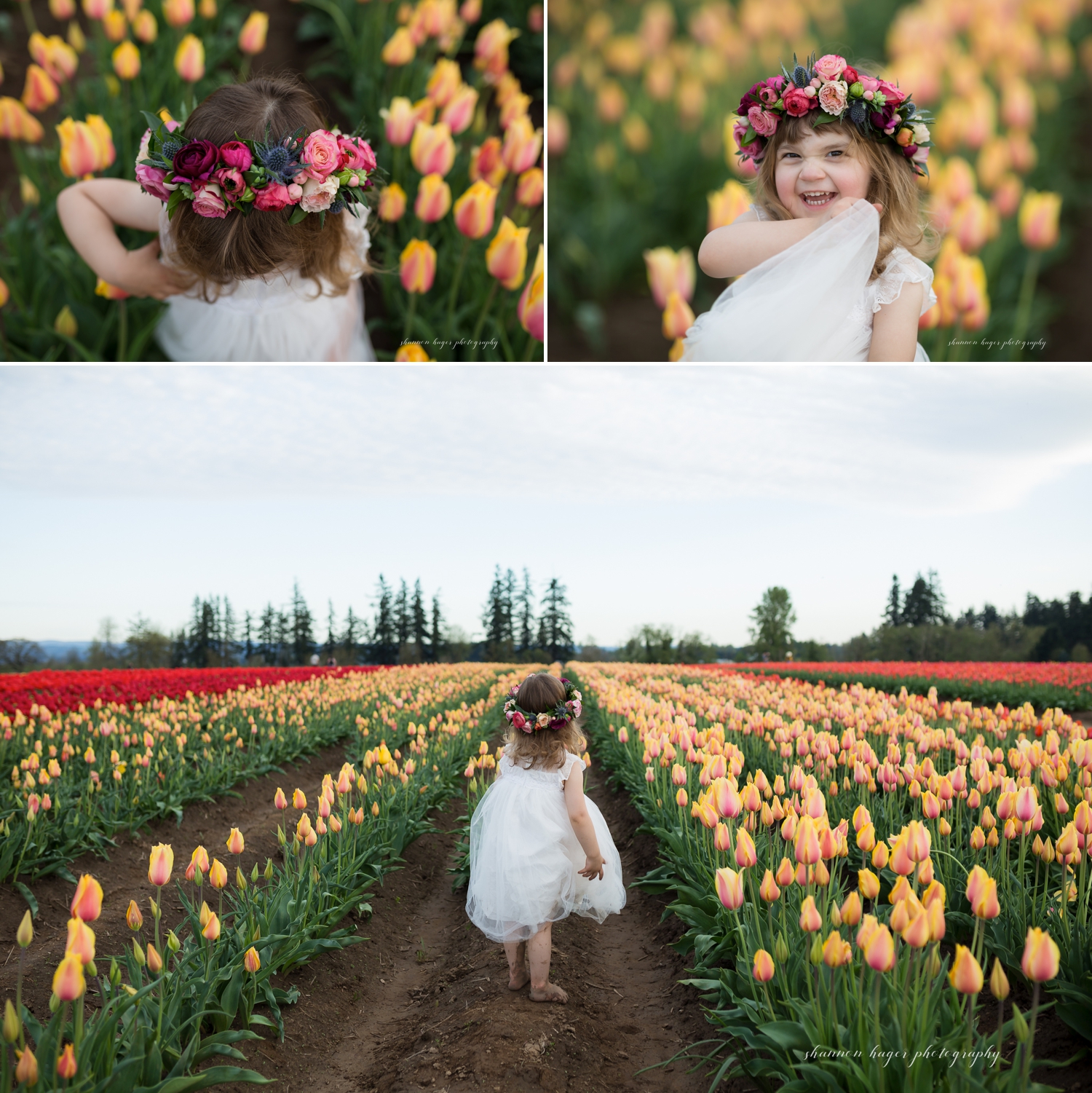 wooden shoe tulip farm photos, spring tulip field mini sessions, portland family photographer, girl in tulip field oregon