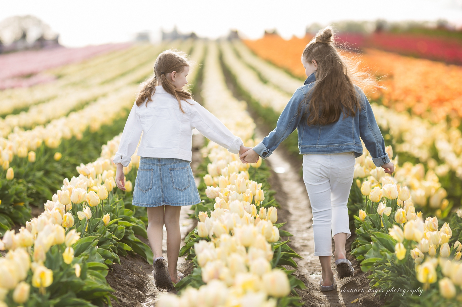spring photos portland, wooden shoe tulip farm, tulip field photo session, portland family photography