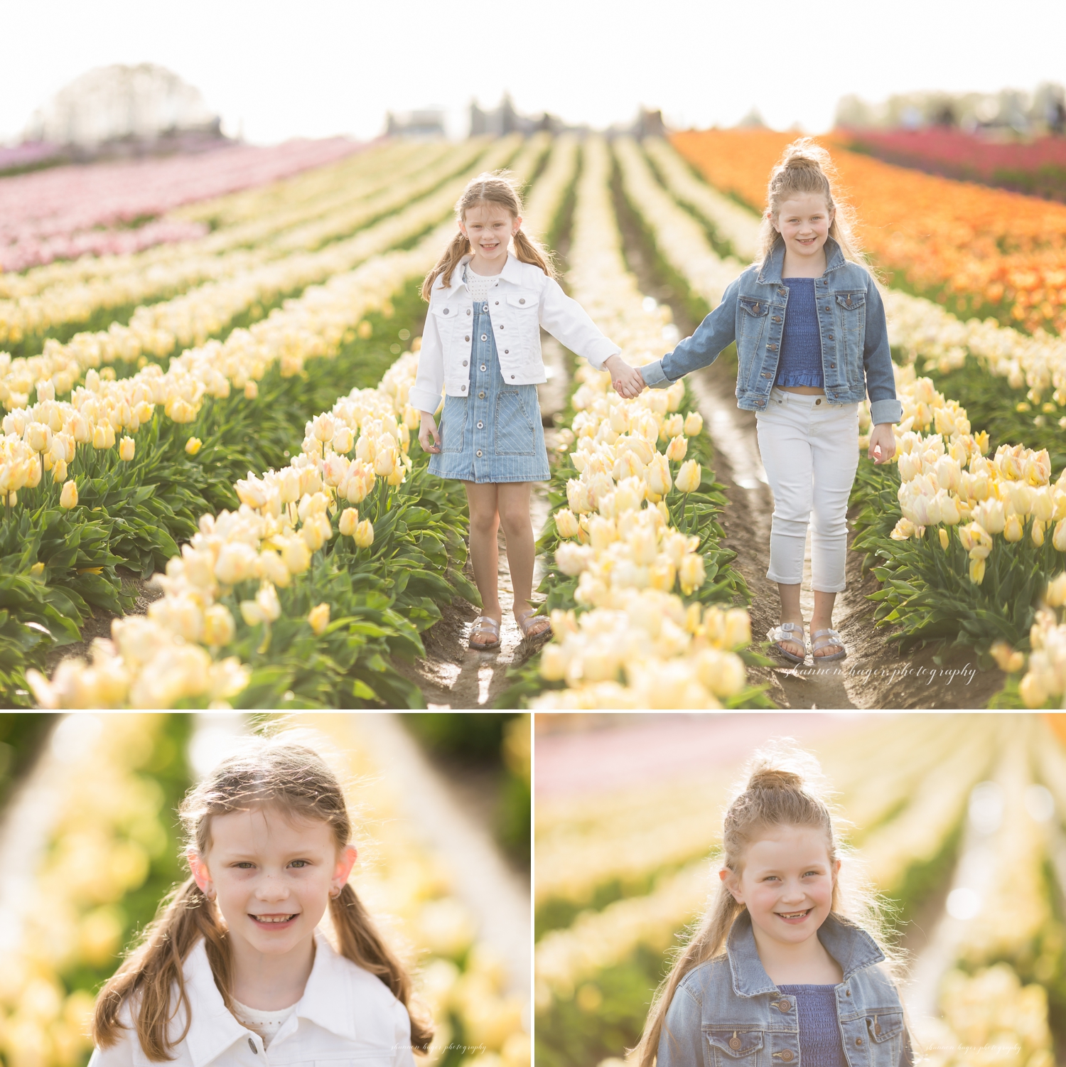 spring photos portland, wooden shoe tulip farm, tulip field photo session, portland family photography