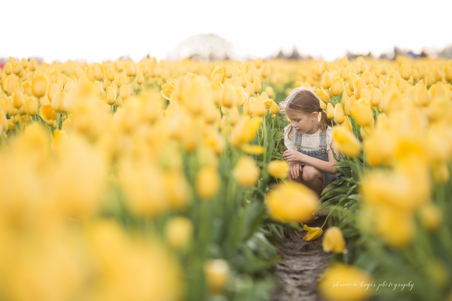 spring photos portland, wooden shoe tulip farm, tulip field photo session, portland family photography