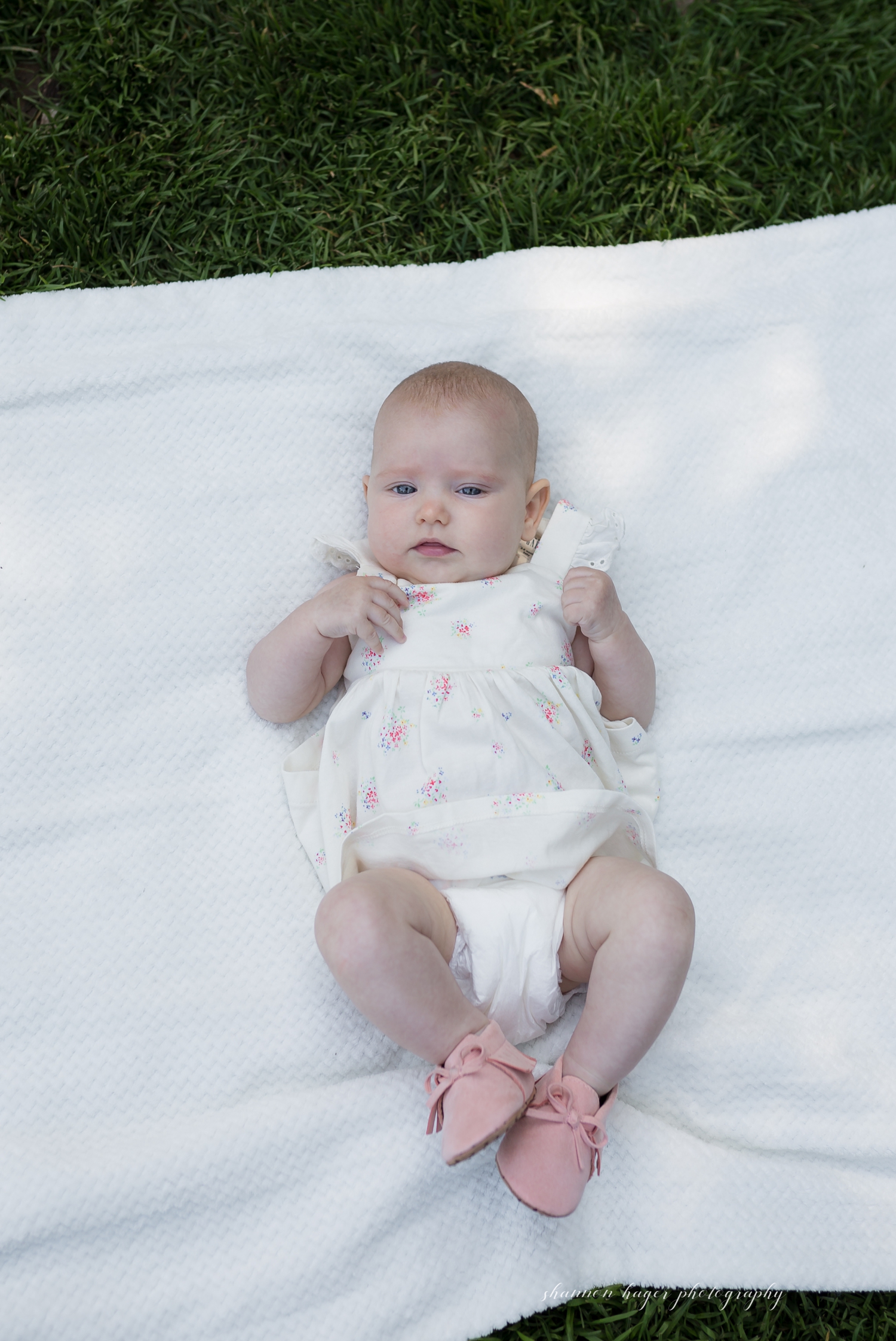 portland rose garden family photo session, portland family photographer, sherwood family photographer