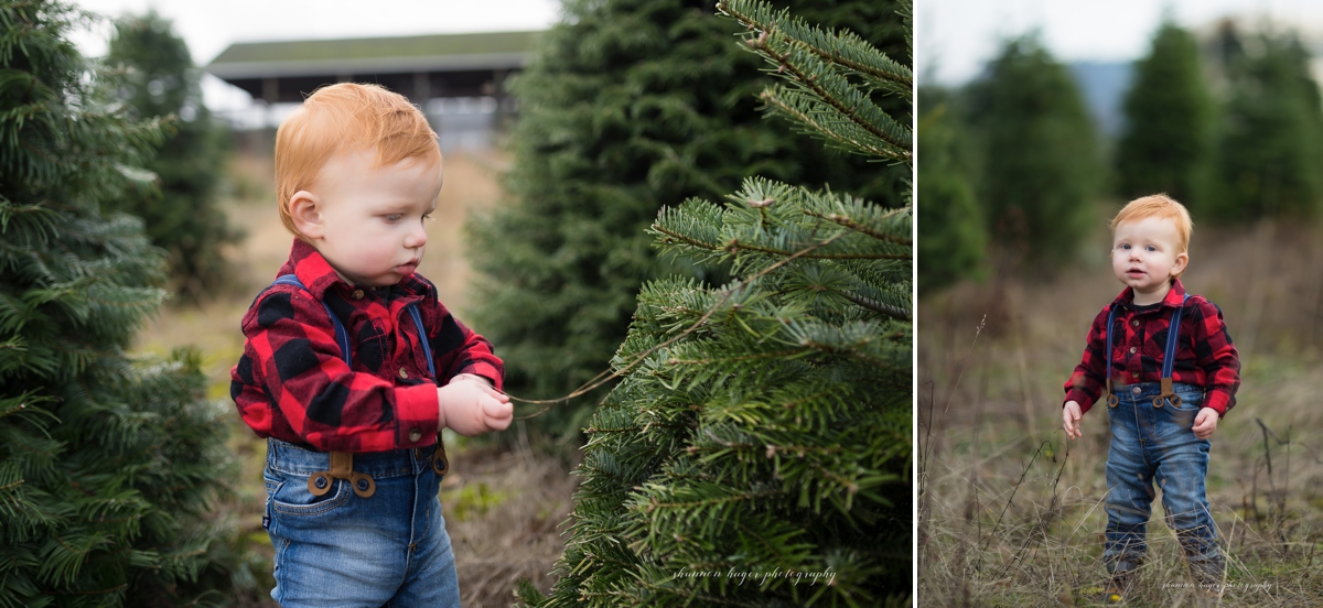 christmas tree farm family photos in oregon, sleighbells family session sherwood, portland winter mini sessions