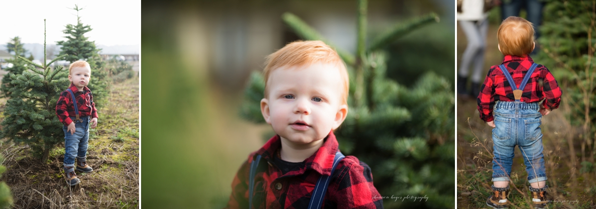 christmas tree farm family photos in oregon, sleighbells family session sherwood, portland winter mini sessions