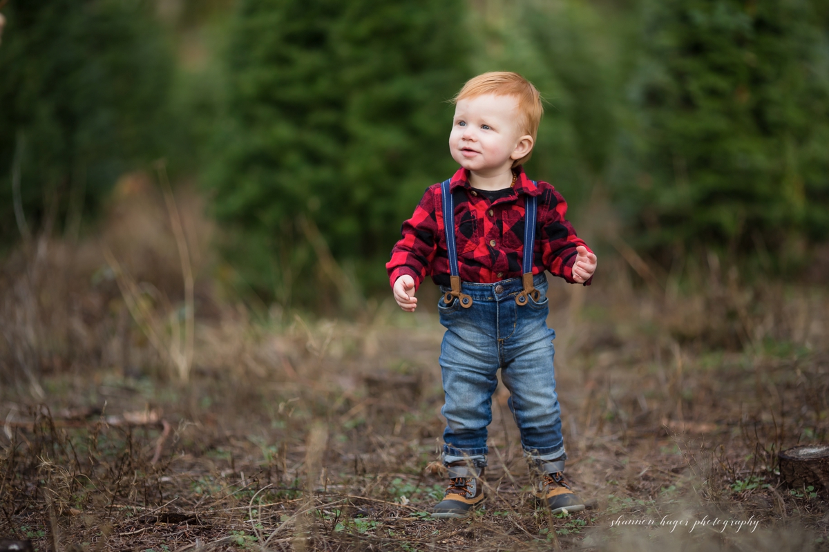 christmas tree farm family photos in oregon, sleighbells family session sherwood, portland winter mini sessions