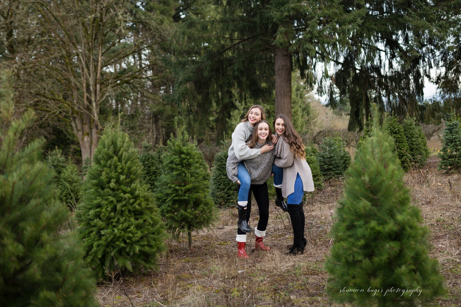 sherwood family photographer, sleighbells christmas tree family photos, portland family photography