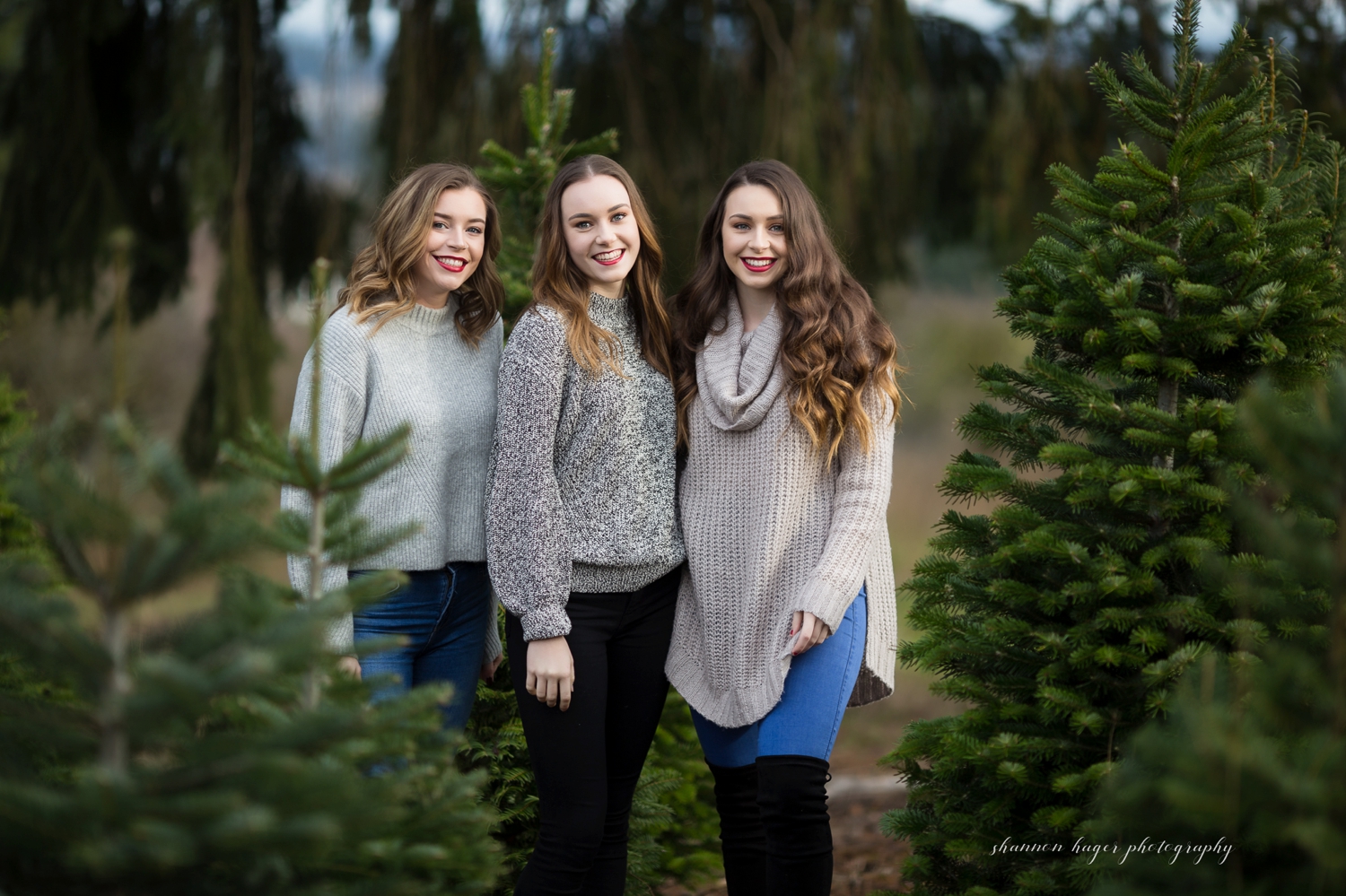sherwood family photographer, sleighbells christmas tree family photos, portland family photography