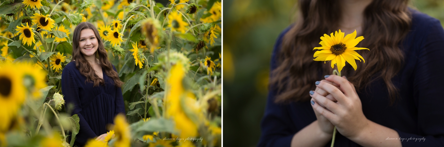 sherwood senior session in the sunflowers, sherwood oregon senior photos