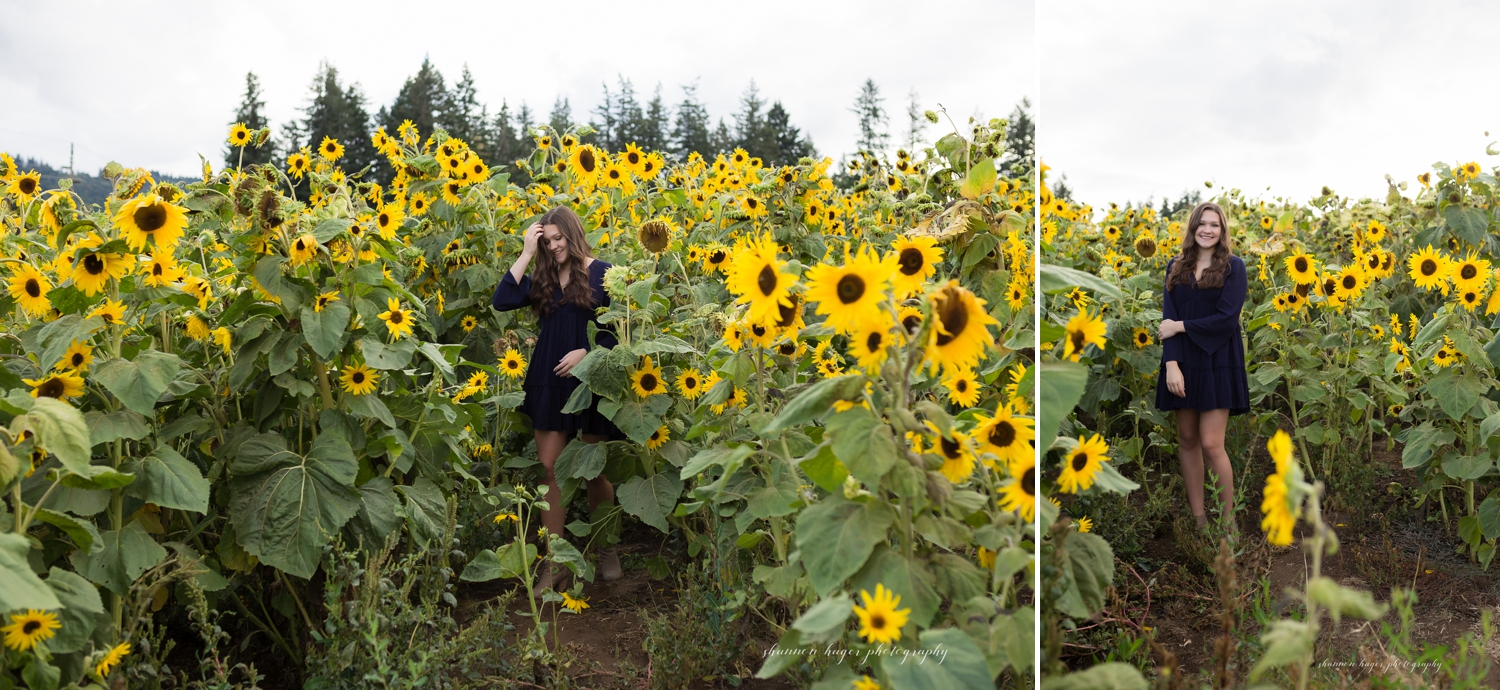 sherwood senior session in the sunflowers, sherwood oregon senior photos