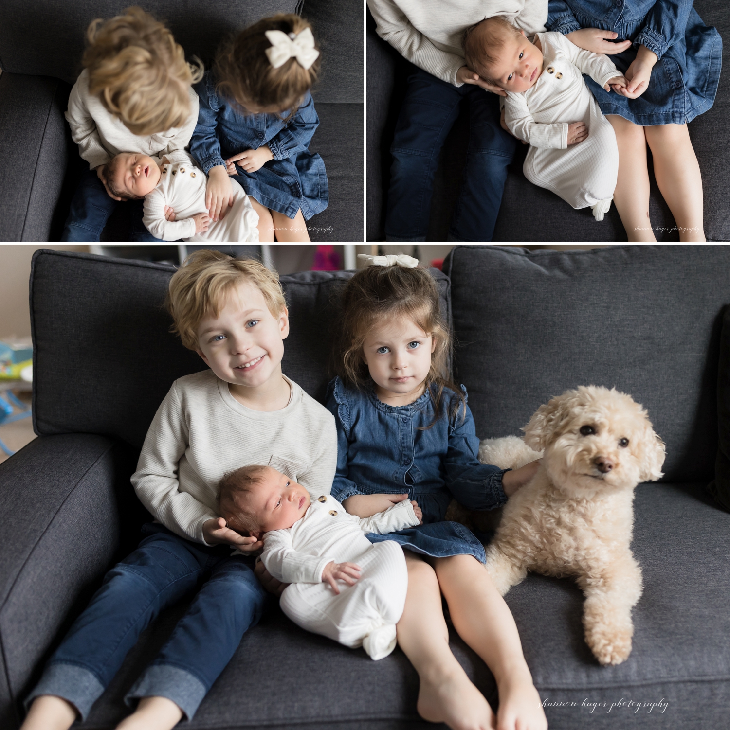 sherwood newborn session by shannon hager photography