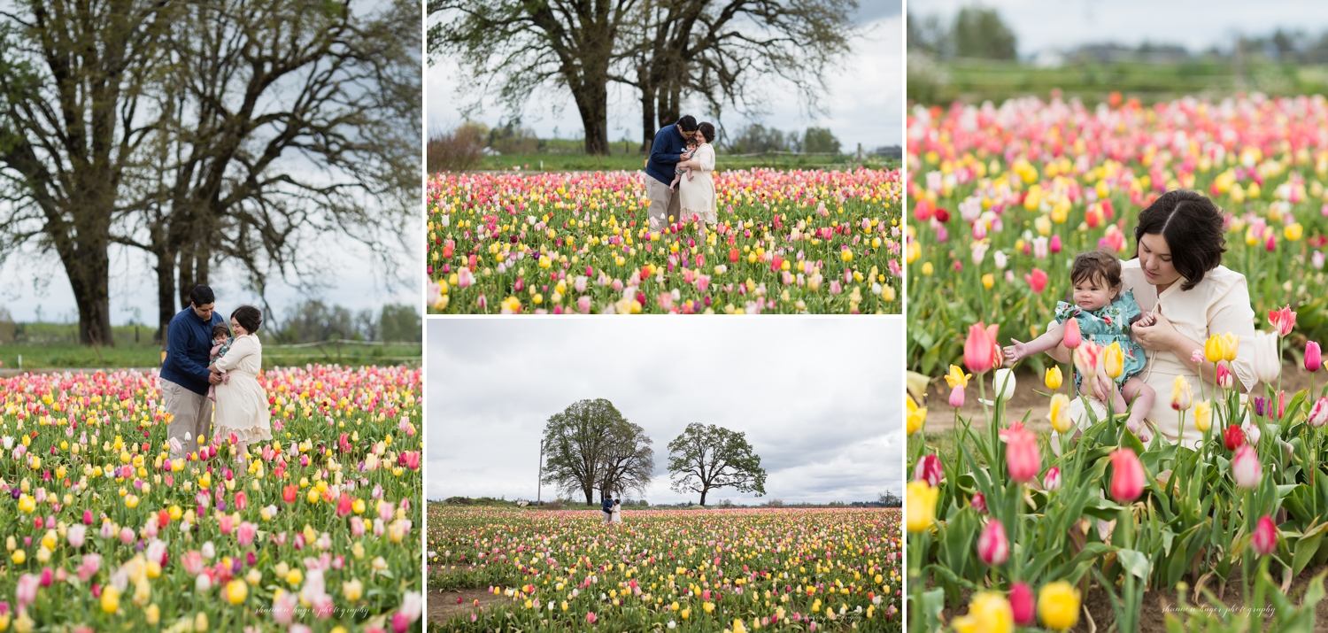 wooden shoe tulip family photos by shannon hager photography