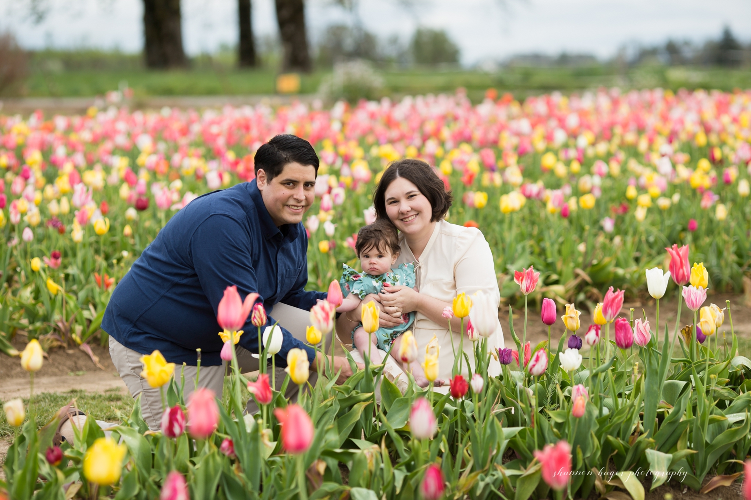 wooden shoe tulip family photos by shannon hager photography