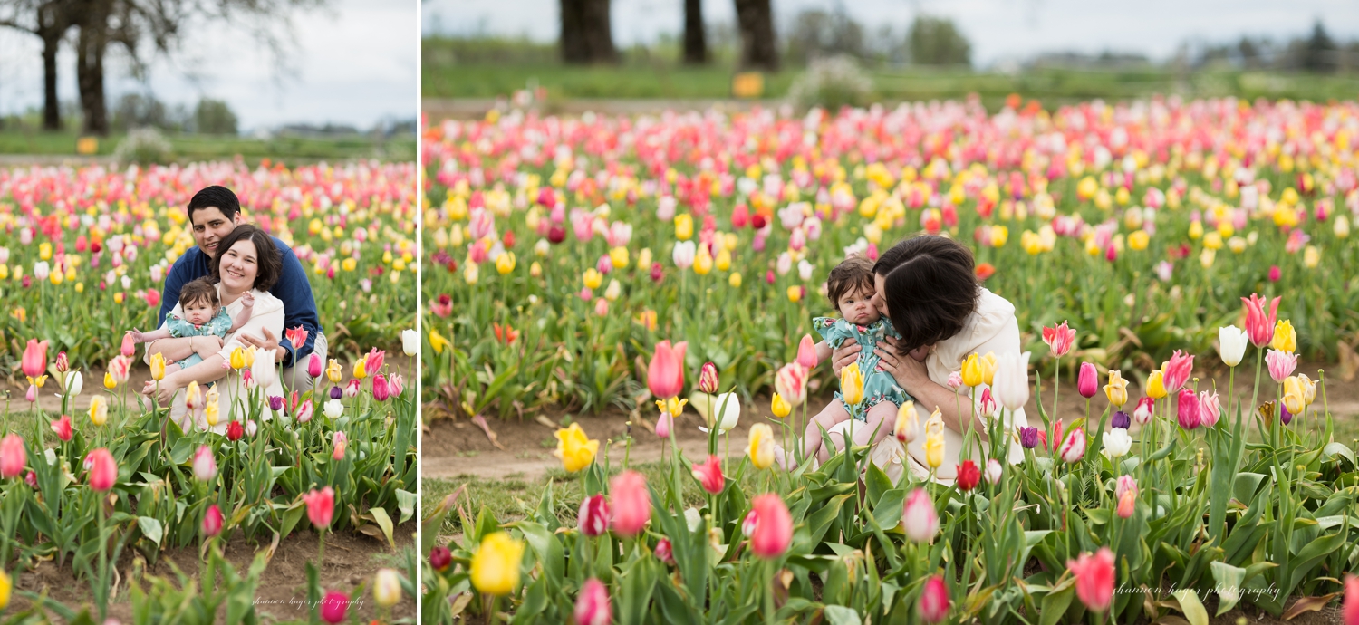 wooden shoe tulip family photos by shannon hager photography