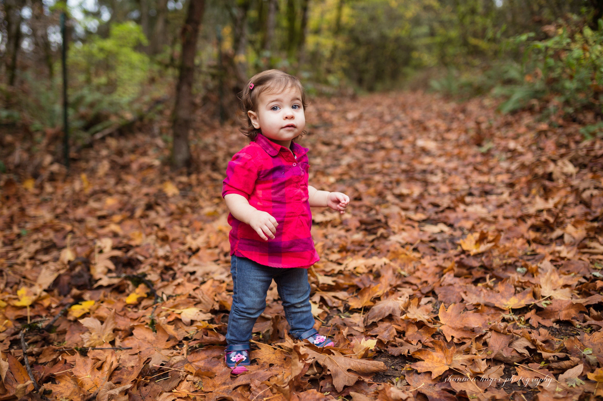 jenkins estate fall family session