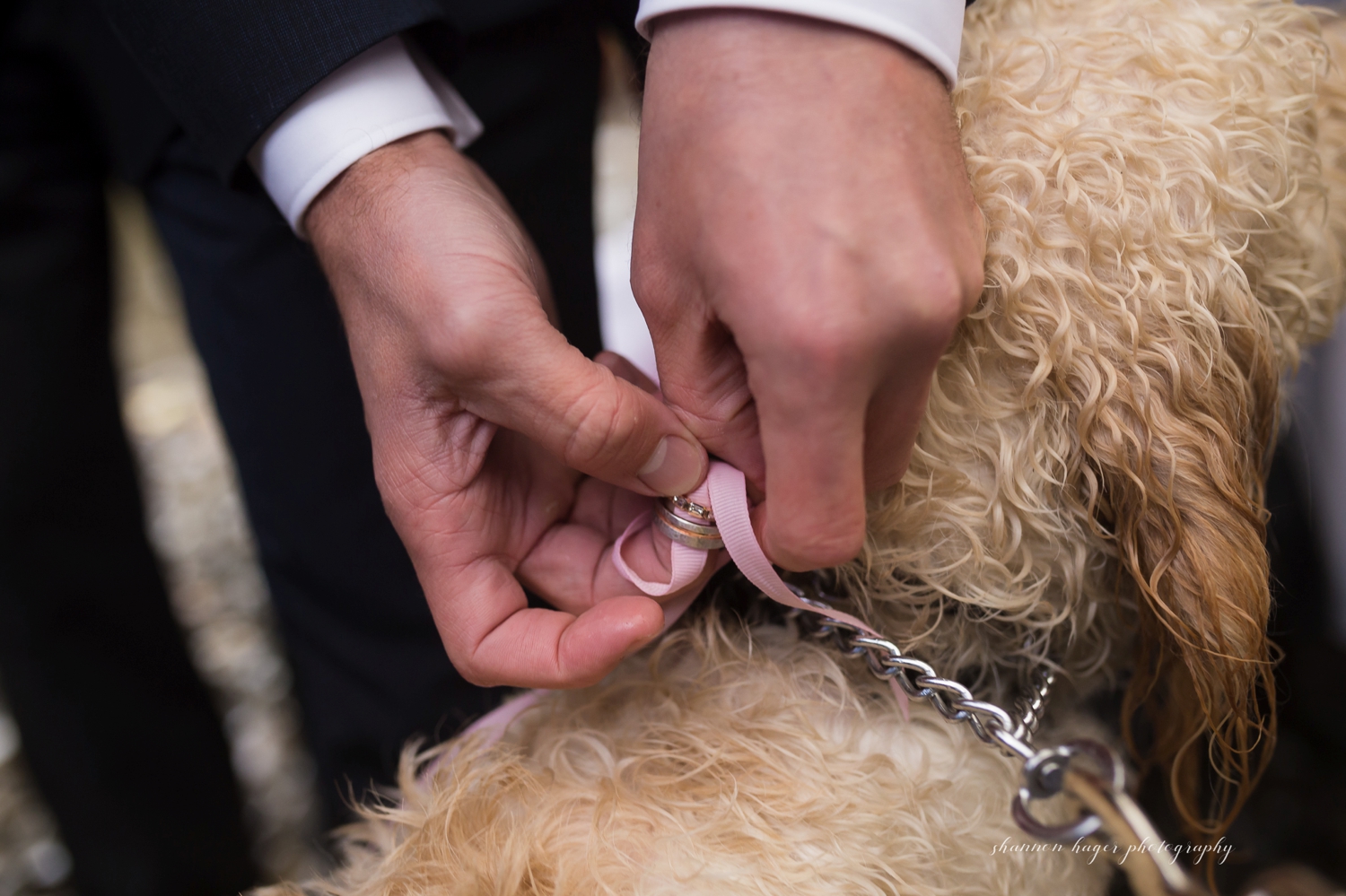 abiqua falls oregon elopement by shannon hager photography