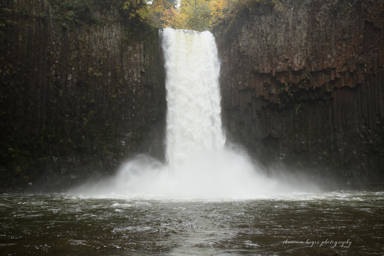 abiqua falls oregon elopement by shannon hager photography