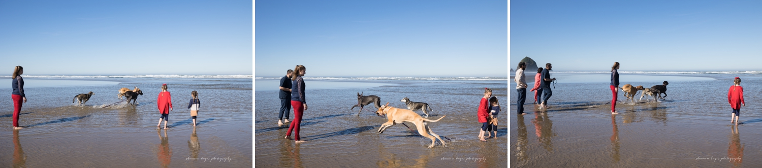 cannon beach extended family photographer, oregon coast family photos