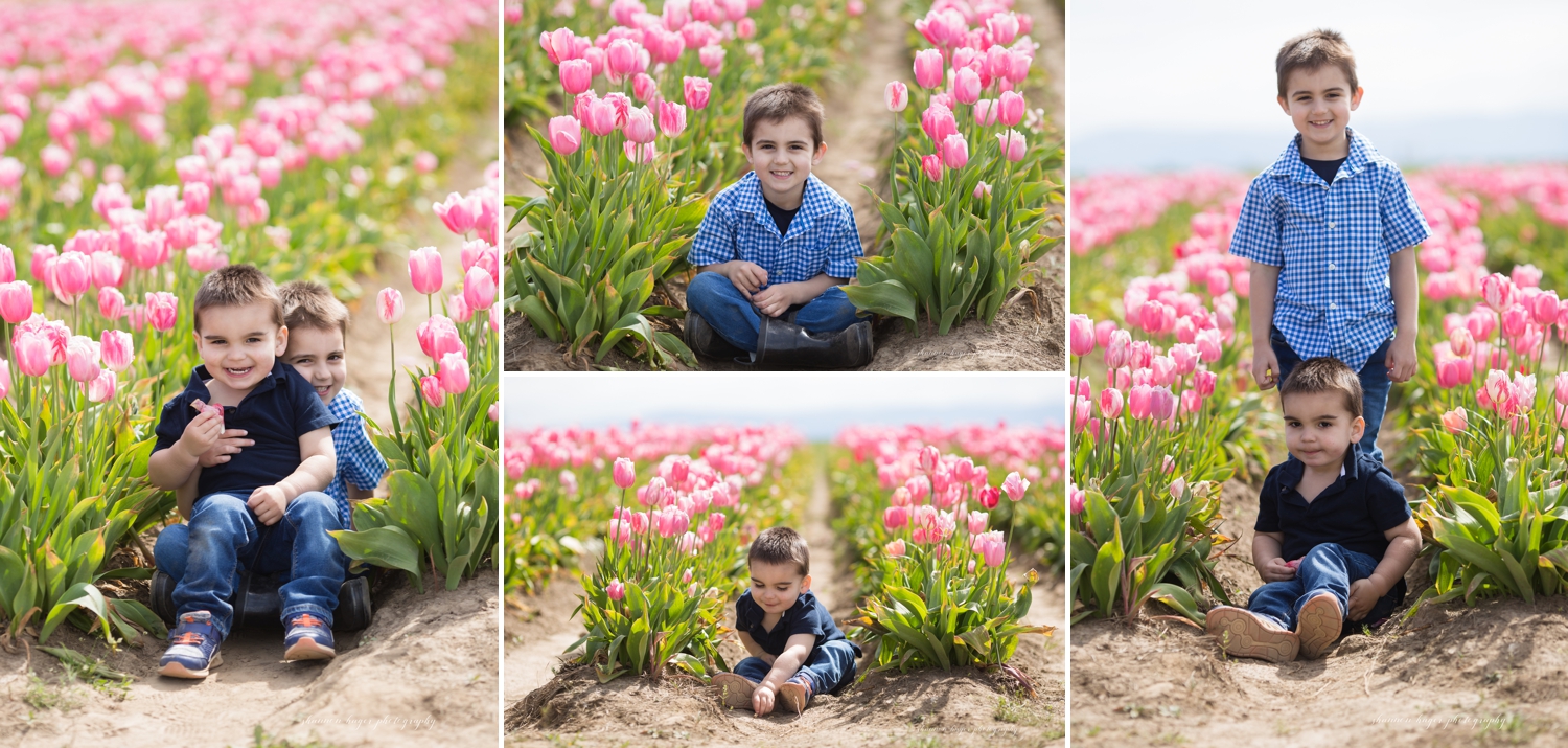 oregon tulip field family photographer, wooden shoe tulip farm