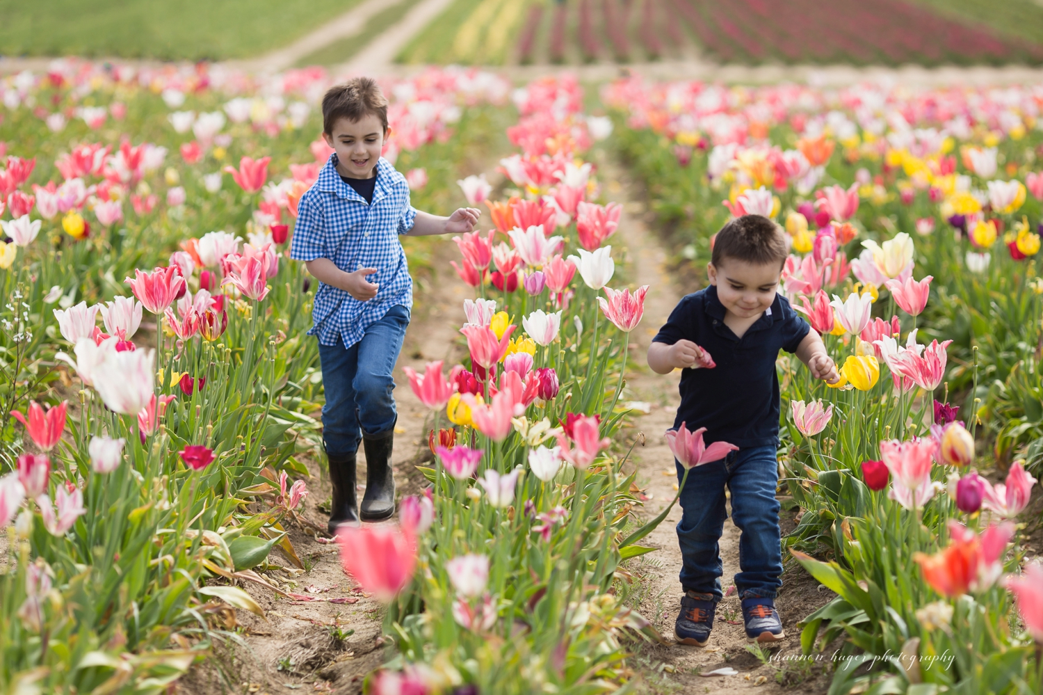 wooden shoe tulip festival family photos by shannon hager photography
