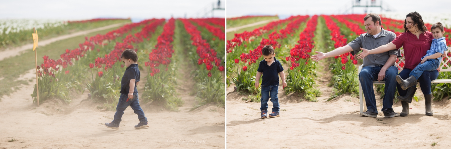 wooden shoe tulip festival family photos by shannon hager photography