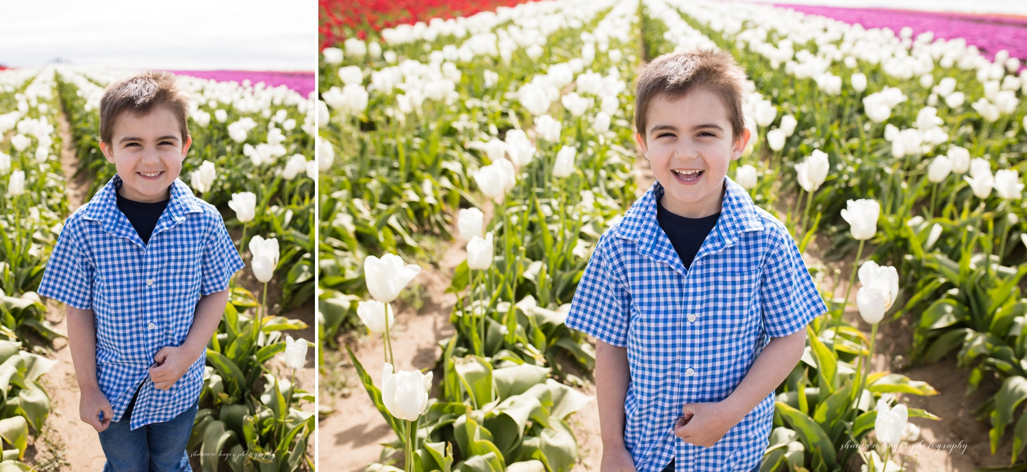 oregon tulip field family photographer, wooden shoe tulip farm
