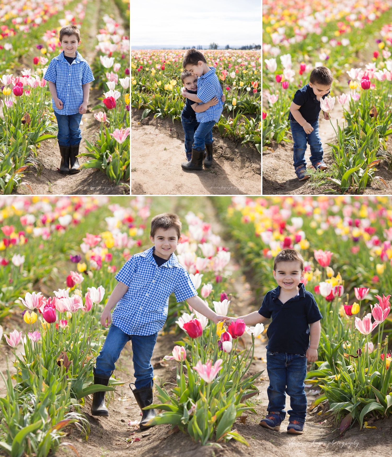 wooden shoe tulip festival family photos by shannon hager photography