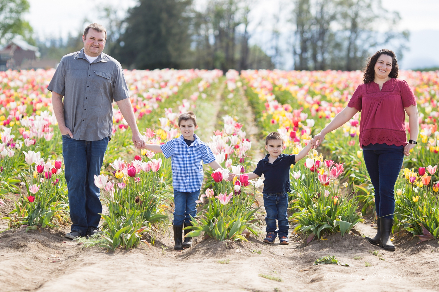 oregon tulip field family photographer, wooden shoe tulip farm