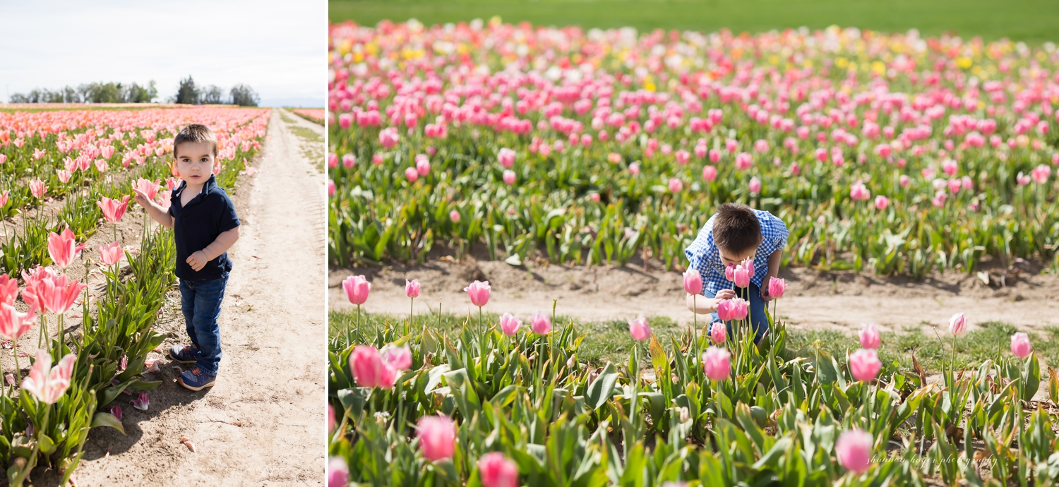 oregon tulip field family photographer, wooden shoe tulip farm