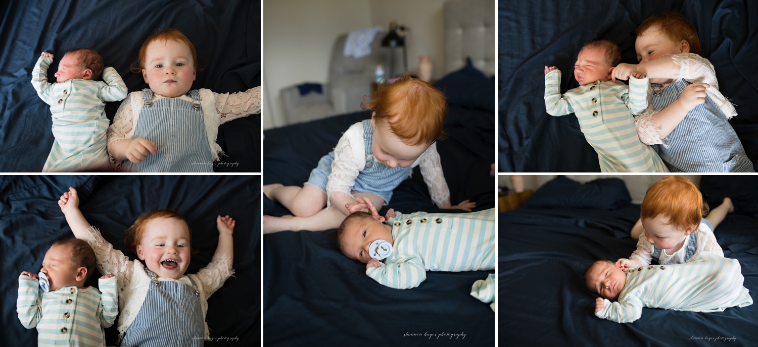tualatin newborn photographer oregon by shannon hager photography